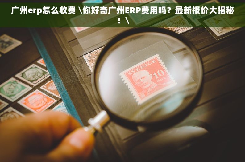 广州erp怎么收费 \你好奇广州ERP费用吗？最新报价大揭秘！\