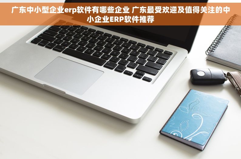 广东中小型企业erp软件有哪些企业 广东最受欢迎及值得关注的中小企业ERP软件推荐