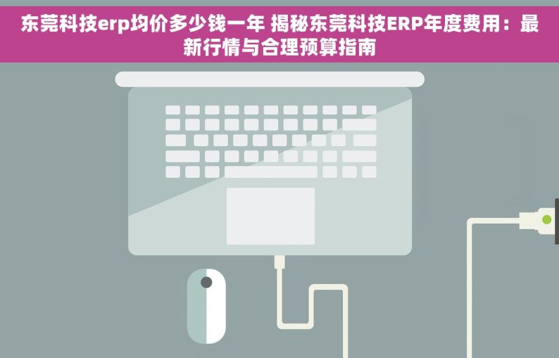 东莞科技erp均价多少钱一年 揭秘东莞科技ERP年度费用：最新行情与合理预算指南