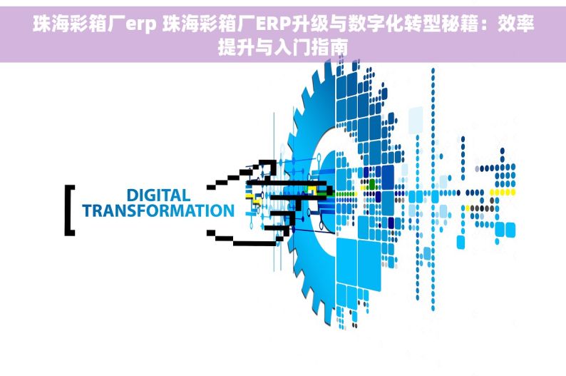 珠海彩箱厂erp 珠海彩箱厂ERP升级与数字化转型秘籍：效率提升与入门指南