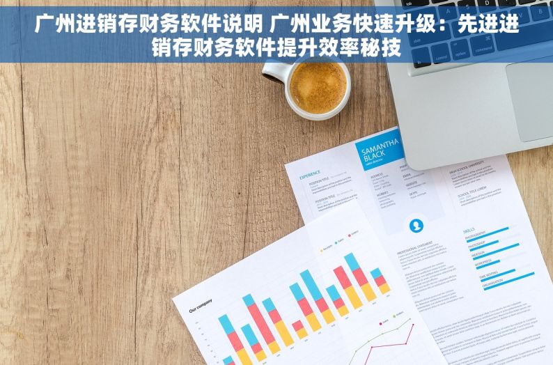 广州进销存财务软件说明 广州业务快速升级：先进进销存财务软件提升效率秘技
