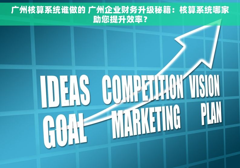 广州核算系统谁做的 广州企业财务升级秘籍：核算系统哪家助您提升效率？