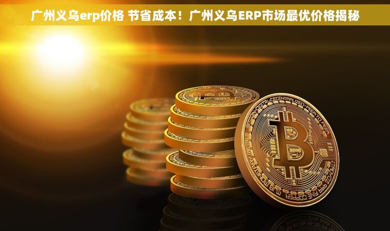 广州义乌erp价格 节省成本！广州义乌ERP市场最优价格揭秘