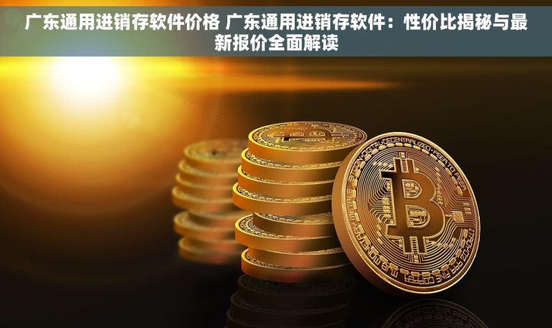 广东通用进销存软件价格 广东通用进销存软件：性价比揭秘与最新报价全面解读