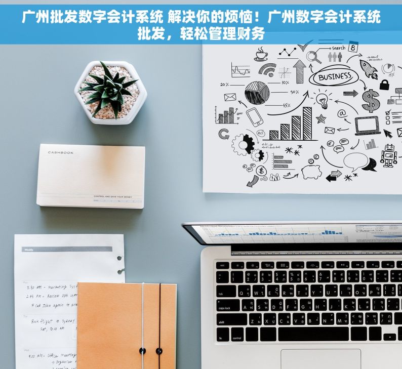 广州批发数字会计系统 解决你的烦恼！广州数字会计系统批发，轻松管理财务