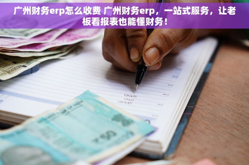 广州财务erp怎么收费 广州财务erp，一站式服务，让老板看报表也能懂财务！