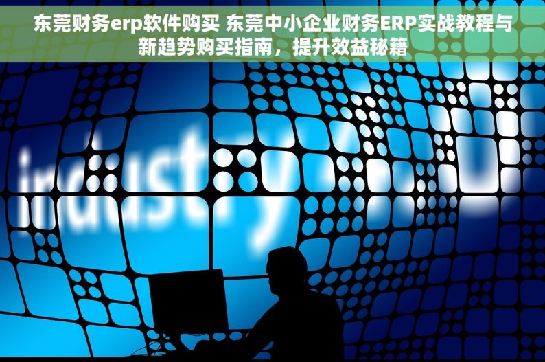东莞财务erp软件购买 东莞中小企业财务ERP实战教程与新趋势购买指南，提升效益秘籍