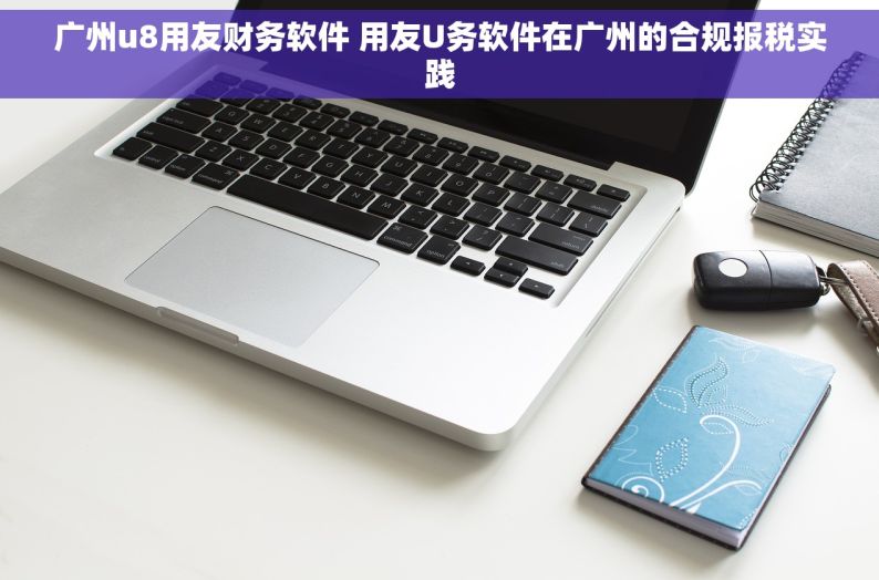 广州u8用友财务软件 用友U务软件在广州的合规报税实践