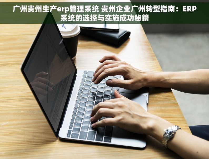 广州贵州生产erp管理系统 贵州企业广州转型指南：ERP系统的选择与实施成功秘籍
