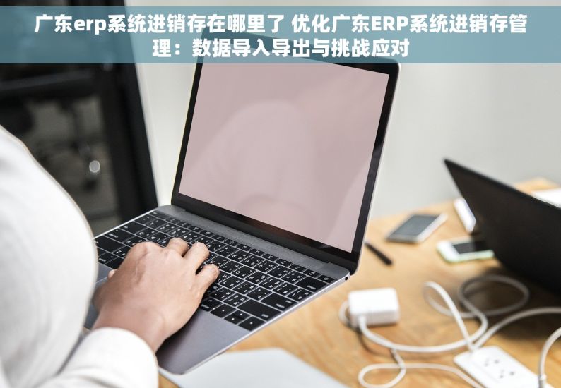 广东erp系统进销存在哪里了 优化广东ERP系统进销存管理：数据导入导出与挑战应对