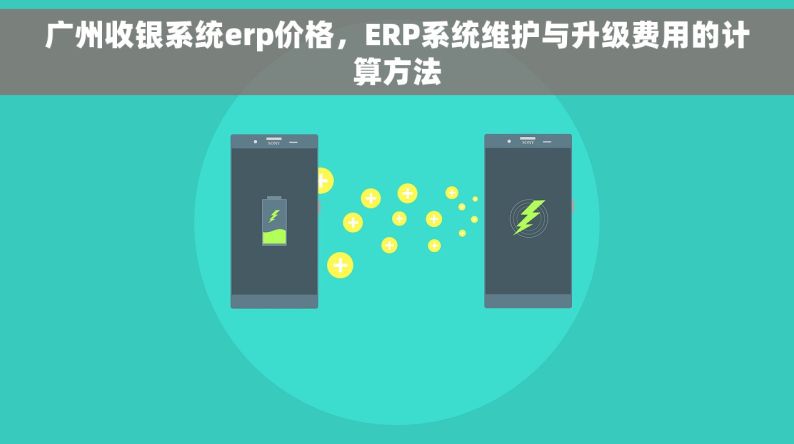 广州收银系统erp价格，ERP系统维护与升级费用的计算方法