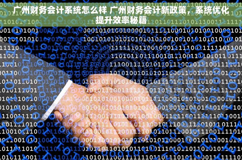 广州财务会计系统怎么样 广州财务会计新政策，系统优化提升效率秘籍