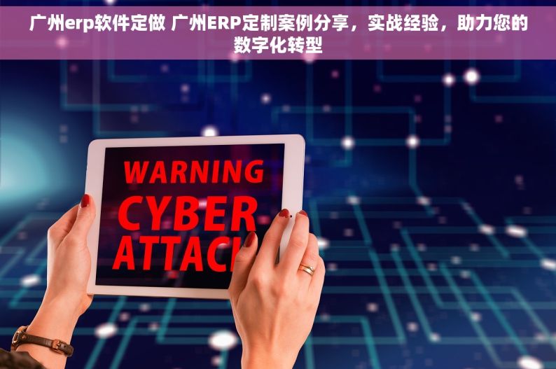 广州erp软件定做 广州ERP定制案例分享，实战经验，助力您的数字化转型
