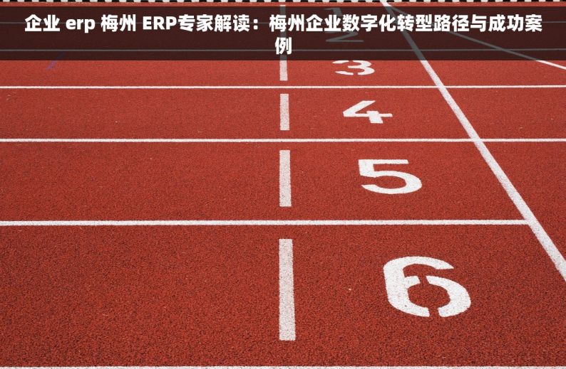 企业 erp 梅州 ERP专家解读：梅州企业数字化转型路径与成功案例