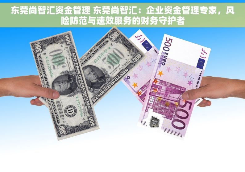 东莞尚智汇资金管理 东莞尚智汇：企业资金管理专家，风险防范与速效服务的财务守护者