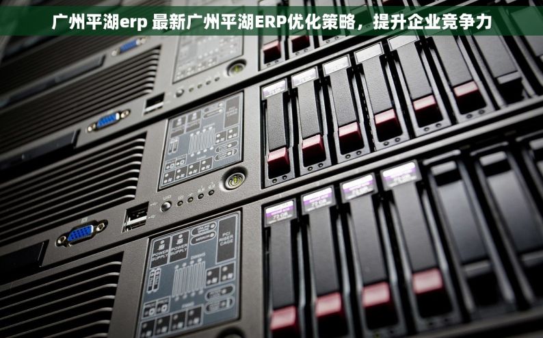 广州平湖erp 最新广州平湖ERP优化策略，提升企业竞争力