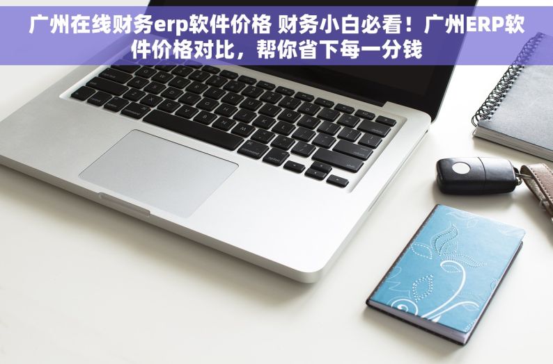 广州在线财务erp软件价格 财务小白必看！广州ERP软件价格对比，帮你省下每一分钱