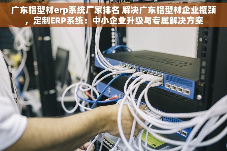 广东铝型材erp系统厂家排名 解决广东铝型材企业瓶颈，定制ERP系统：中小企业升级与专属解决方案