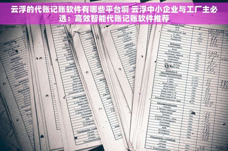 云浮的代账记账软件有哪些平台啊 云浮中小企业与工厂主必选：高效智能代账记账软件推荐