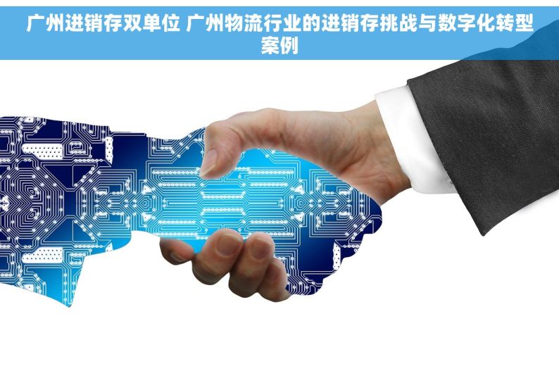 广州进销存双单位 广州物流行业的进销存挑战与数字化转型案例