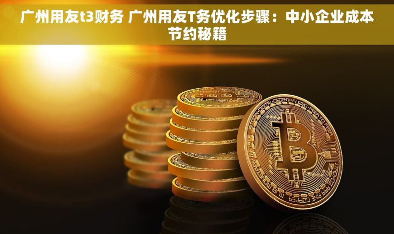 广州用友t3财务 广州用友T务优化步骤：中小企业成本节约秘籍