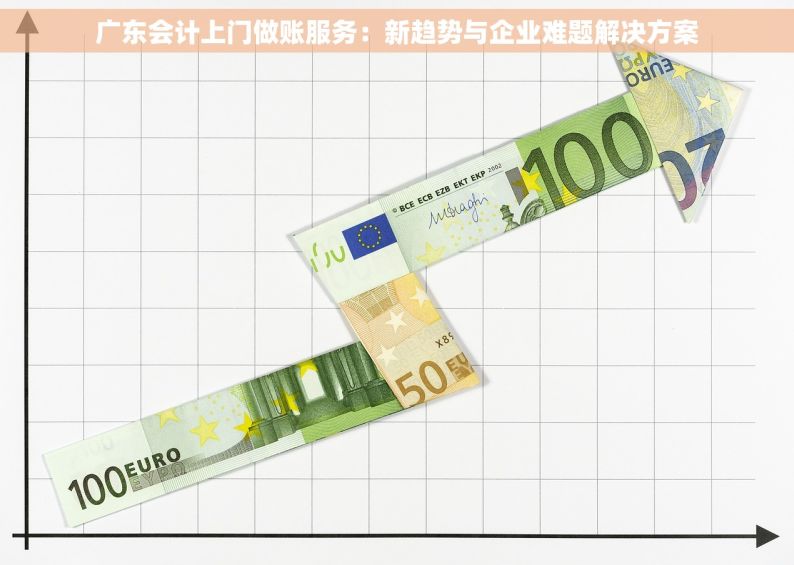 广东会计上门做账服务：新趋势与企业难题解决方案