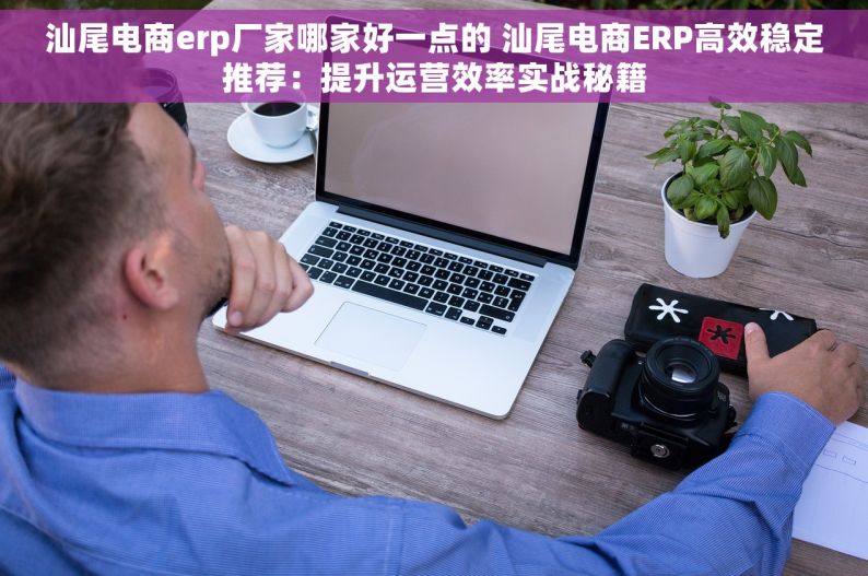 汕尾电商erp厂家哪家好一点的 汕尾电商ERP高效稳定推荐：提升运营效率实战秘籍