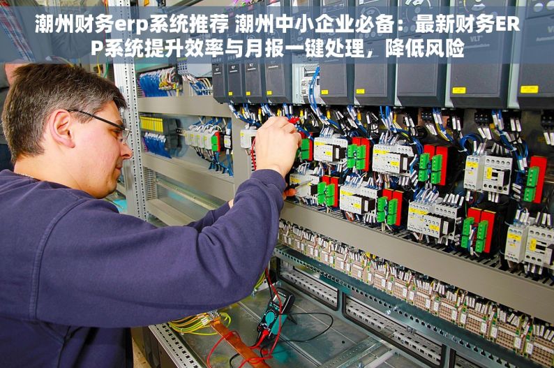 潮州财务erp系统推荐 潮州中小企业必备：最新财务ERP系统提升效率与月报一键处理，降低风险