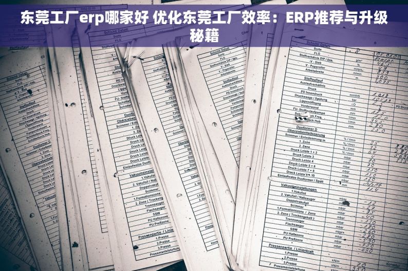 东莞工厂erp哪家好 优化东莞工厂效率：ERP推荐与升级秘籍
