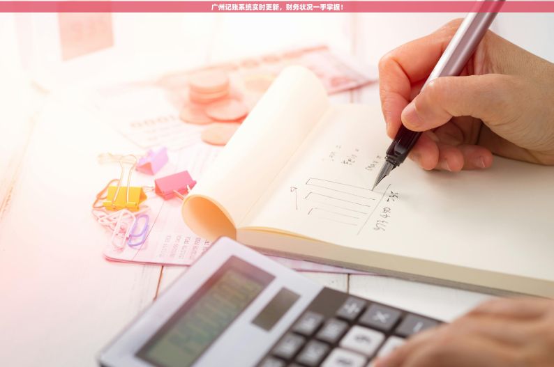 广州记账系统实时更新，财务状况一手掌握！