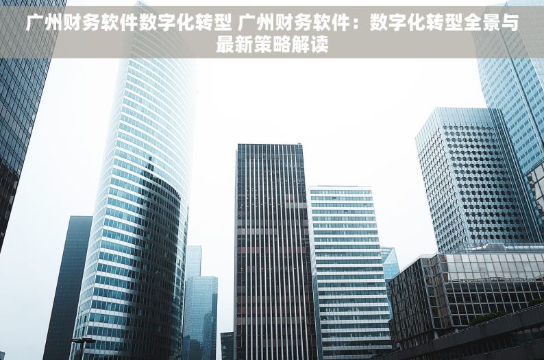 广州财务软件数字化转型 广州财务软件：数字化转型全景与最新策略解读