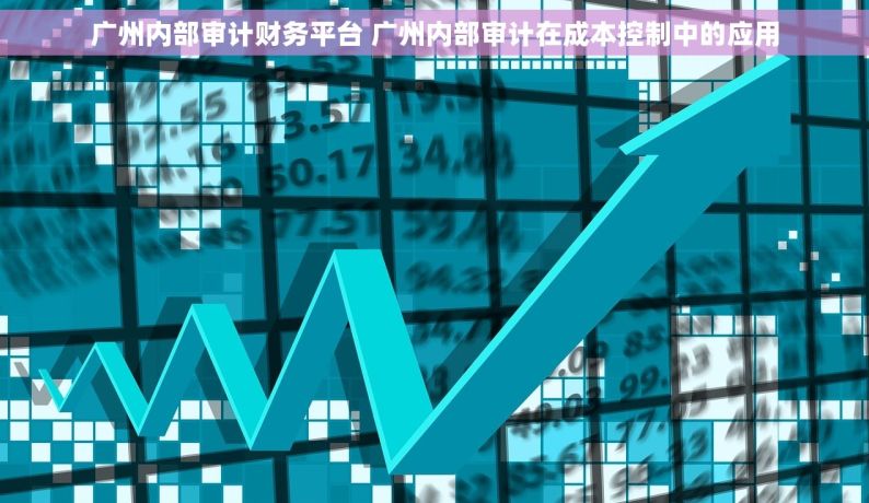 广州内部审计财务平台 广州内部审计在成本控制中的应用