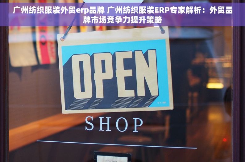 广州纺织服装外贸erp品牌 广州纺织服装ERP专家解析：外贸品牌市场竞争力提升策略