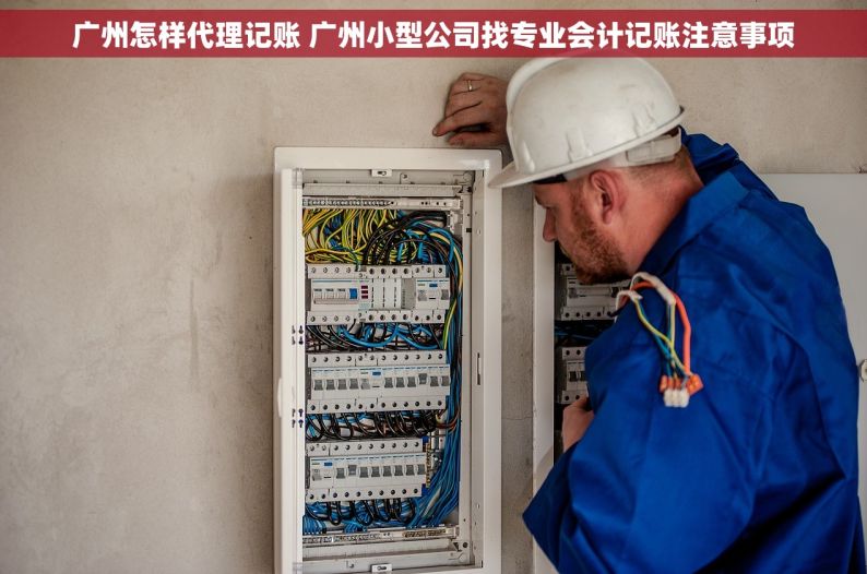 广州怎样代理记账 广州小型公司找专业会计记账注意事项