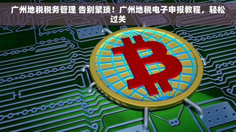 广州地税税务管理 告别繁琐！广州地税电子申报教程，轻松过关