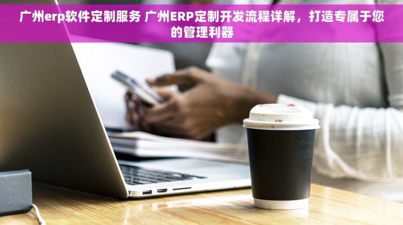 广州erp软件定制服务 广州ERP定制开发流程详解，打造专属于您的管理利器