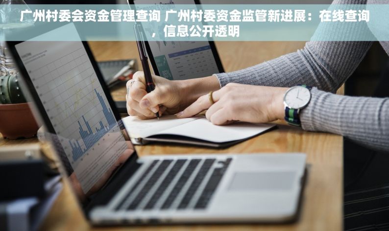 广州村委会资金管理查询 广州村委资金监管新进展：在线查询，信息公开透明