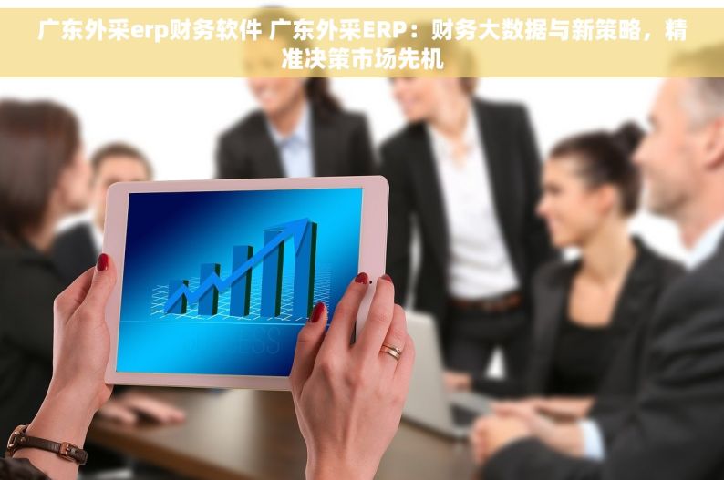 广东外采erp财务软件 广东外采ERP：财务大数据与新策略，精准决策市场先机
