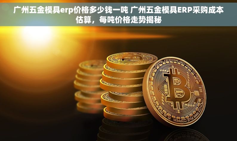 广州五金模具erp价格多少钱一吨 广州五金模具ERP采购成本估算，每吨价格走势揭秘