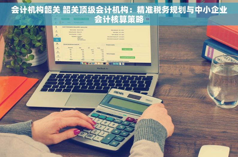 会计机构韶关 韶关顶级会计机构：精准税务规划与中小企业会计核算策略