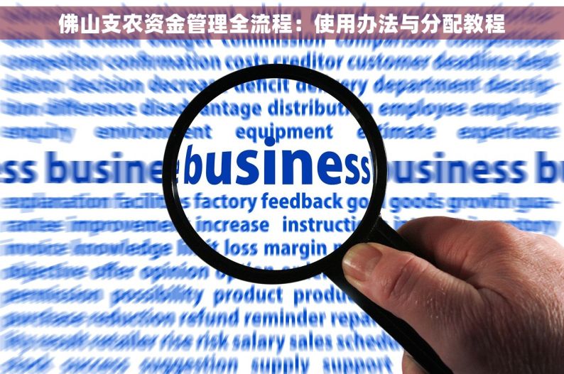 佛山支农资金管理全流程：使用办法与分配教程