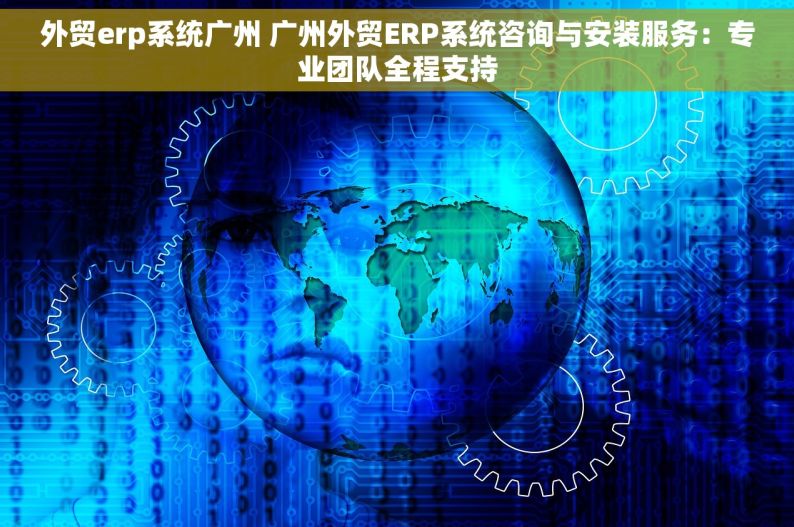 外贸erp系统广州 广州外贸ERP系统咨询与安装服务：专业团队全程支持