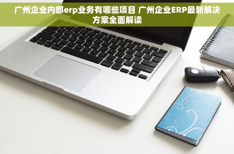广州企业内部erp业务有哪些项目 广州企业ERP最新解决方案全面解读