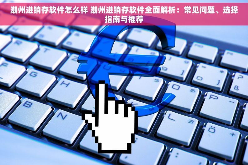 潮州进销存软件怎么样 潮州进销存软件全面解析：常见问题、选择指南与推荐