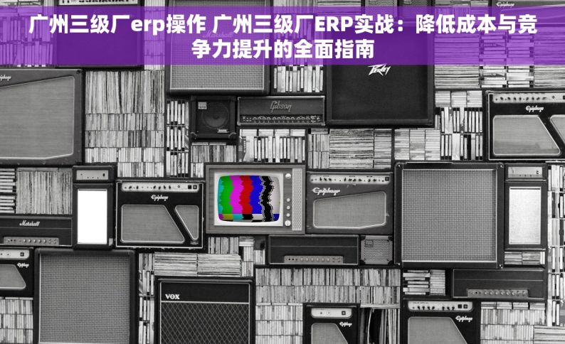 广州三级厂erp操作 广州三级厂ERP实战：降低成本与竞争力提升的全面指南