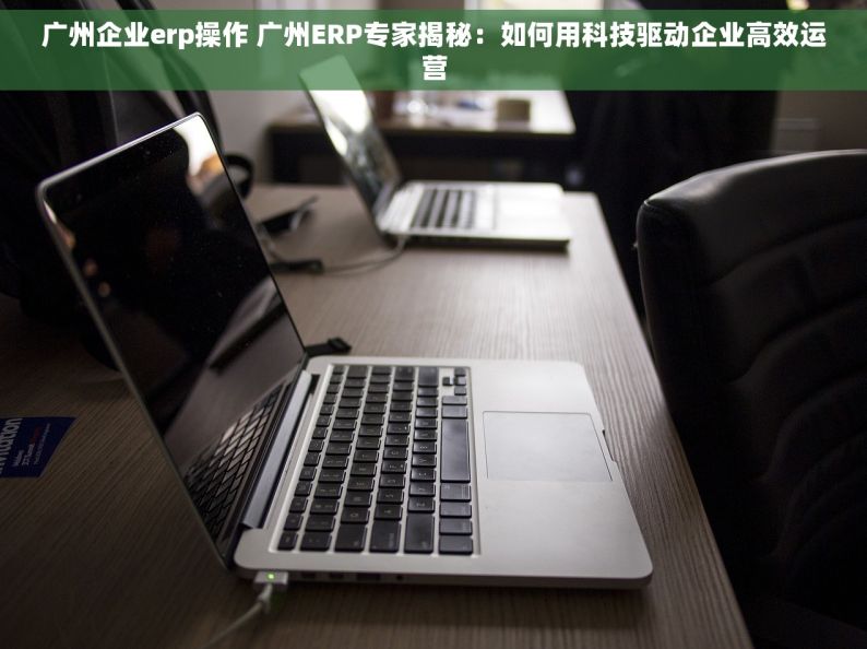 广州企业erp操作 广州ERP专家揭秘：如何用科技驱动企业高效运营