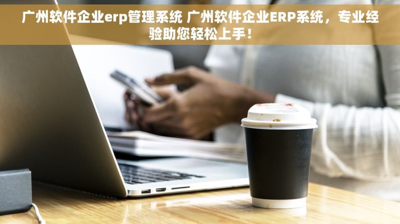 广州软件企业erp管理系统 广州软件企业ERP系统，专业经验助您轻松上手！