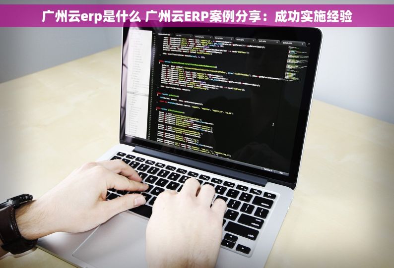 广州云erp是什么 广州云ERP案例分享：成功实施经验
