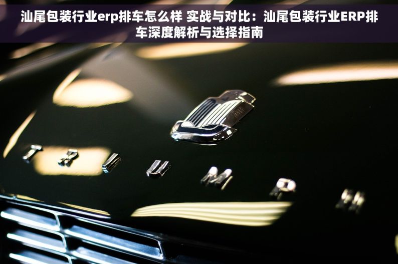 汕尾包装行业erp排车怎么样 实战与对比：汕尾包装行业ERP排车深度解析与选择指南