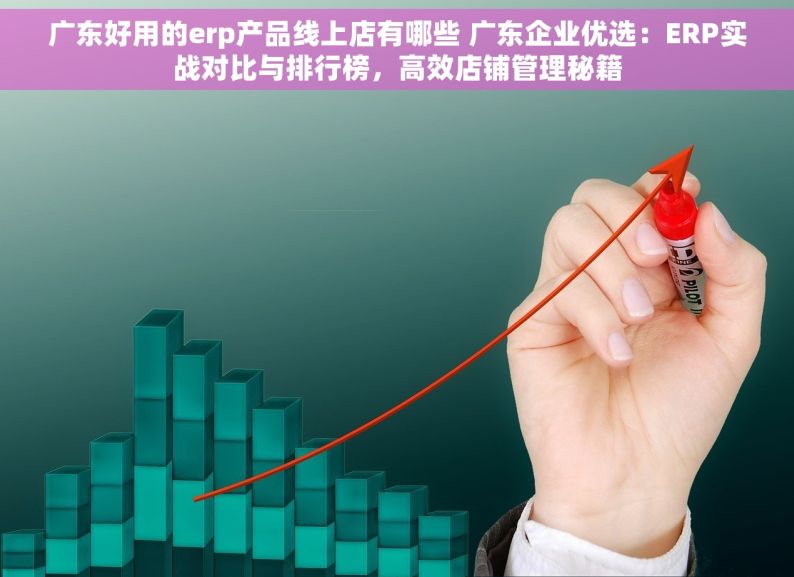 广东好用的erp产品线上店有哪些 广东企业优选：ERP实战对比与排行榜，高效店铺管理秘籍